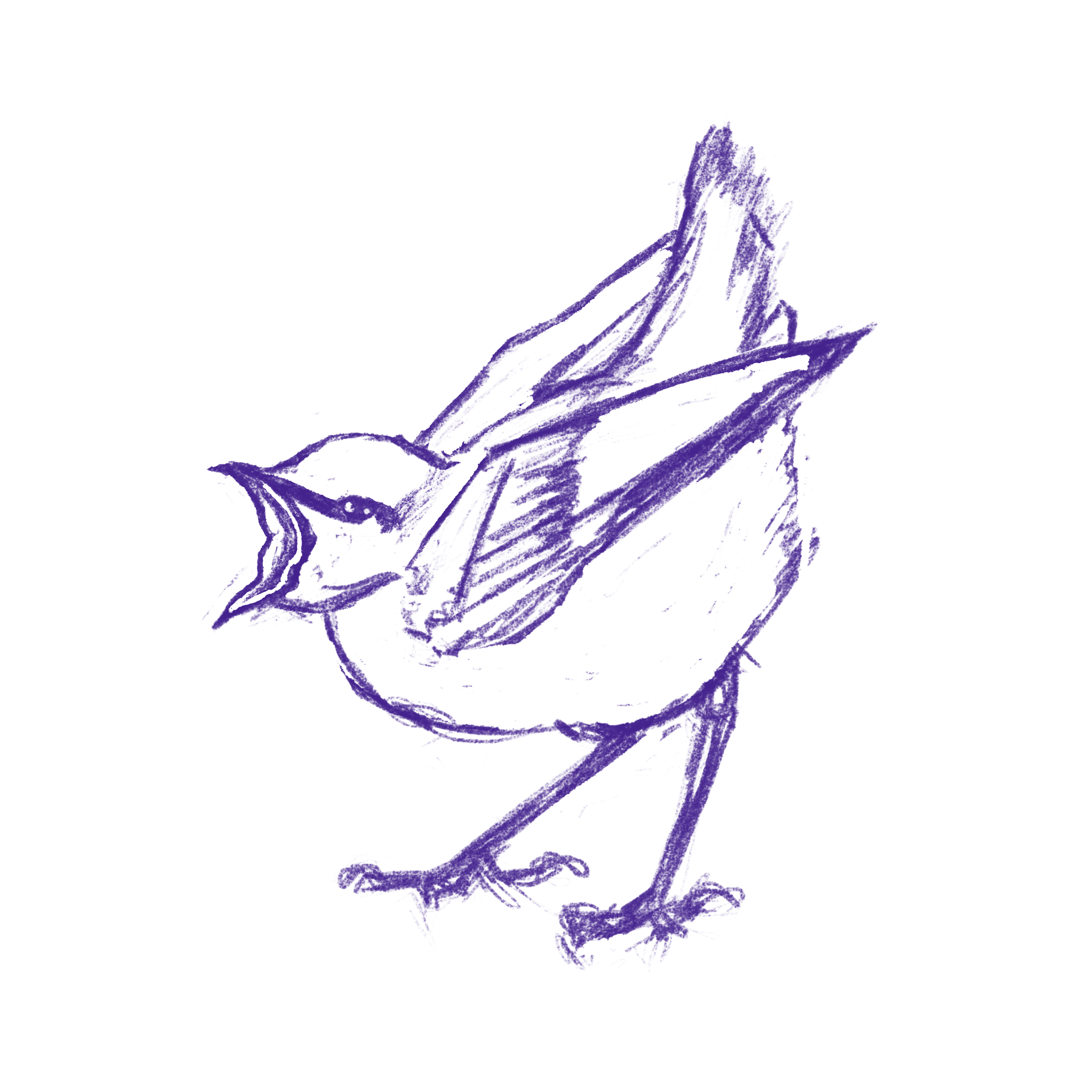 A vocal avian
