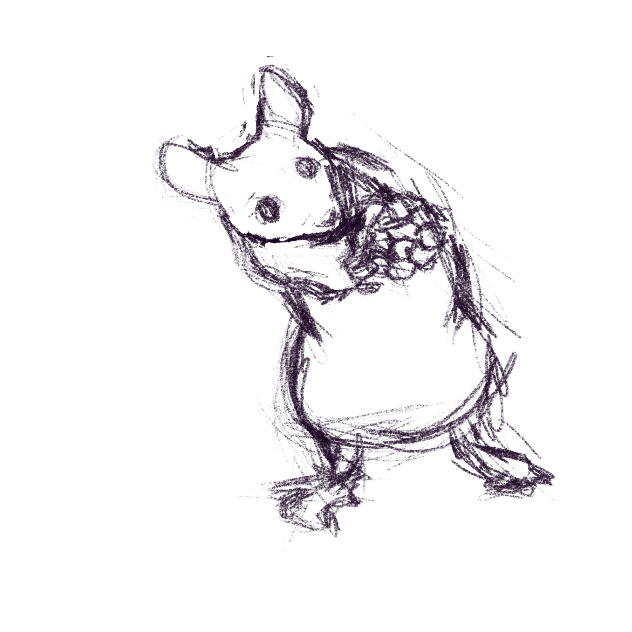 Sketch of a rodent with a berry
