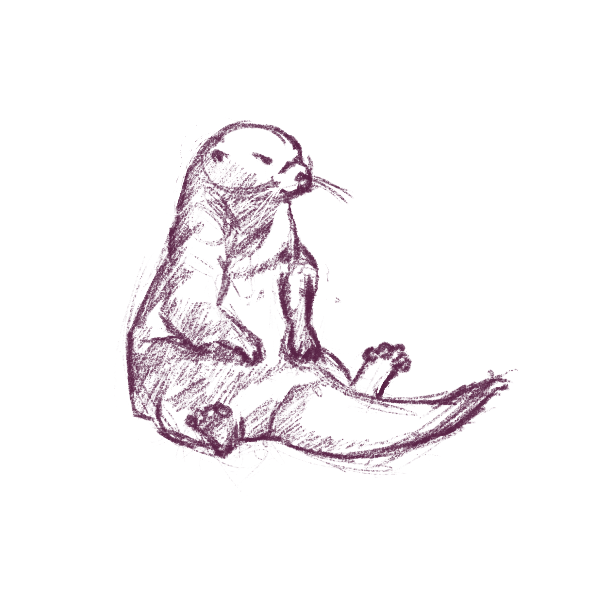 Sketch of an otter taking a break