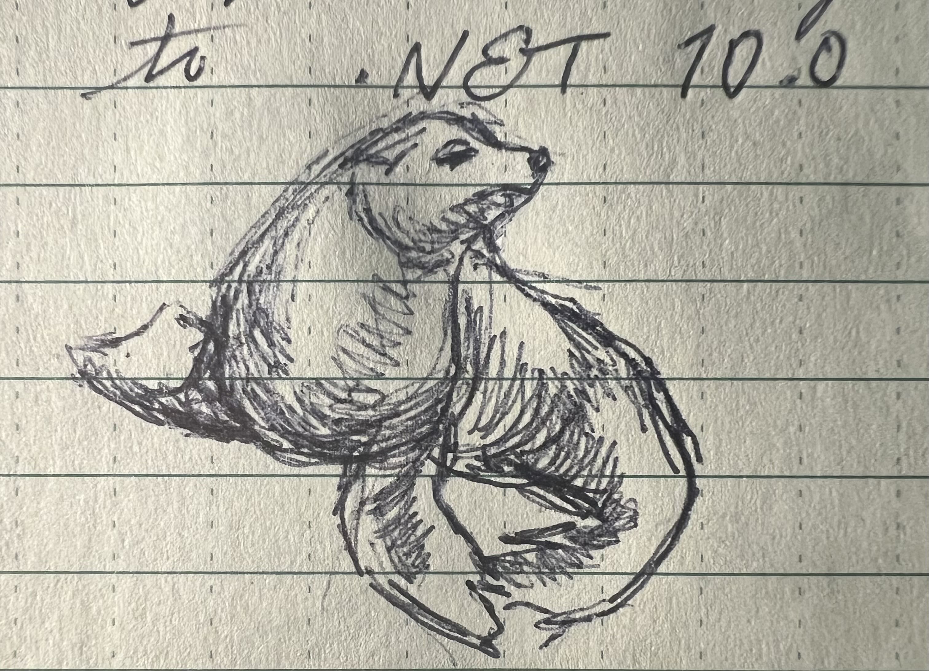 Ballpoint sketch of a seal